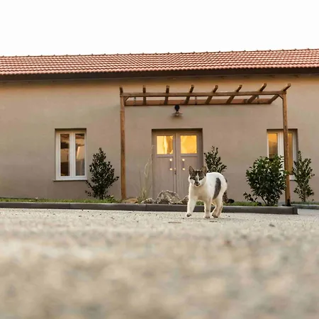 Vevi Villas Willa