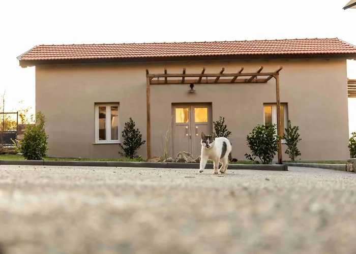 Vevi Villas Вилла